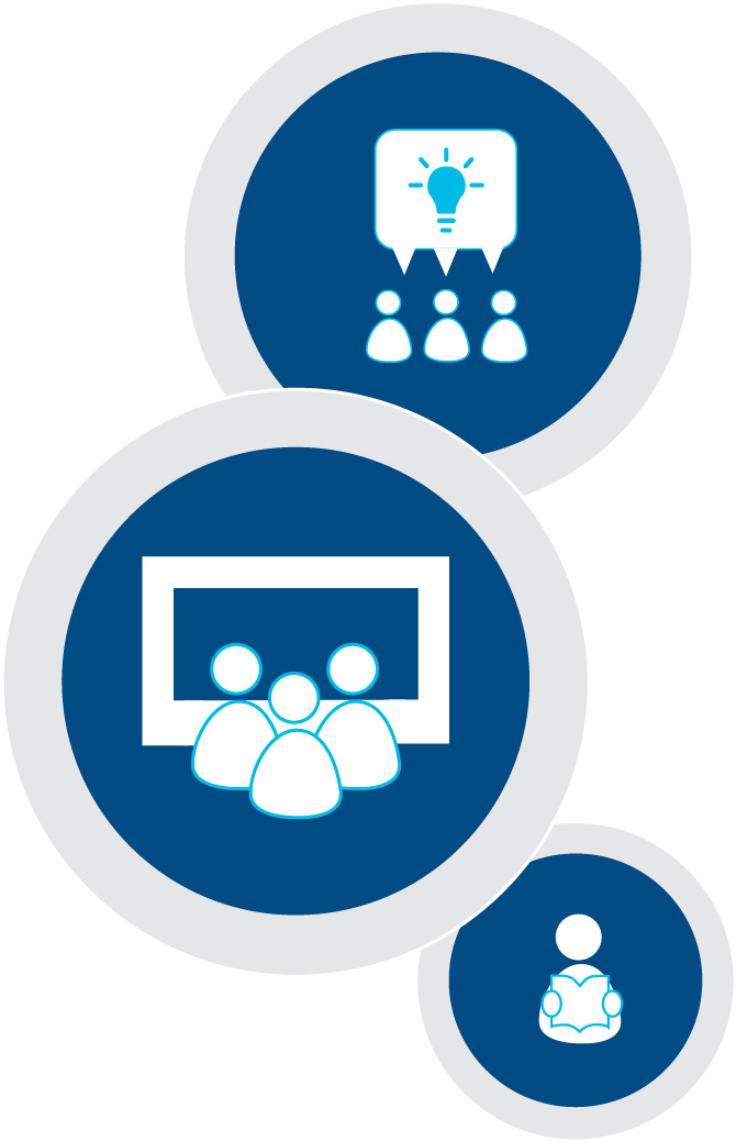 DLDP Program Structure Icons